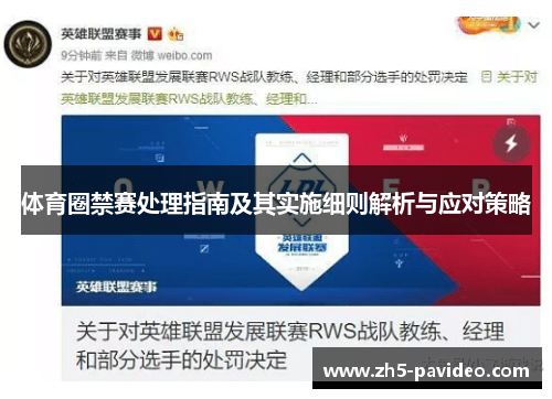 体育圈禁赛处理指南及其实施细则解析与应对策略