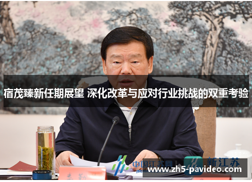 宿茂臻新任期展望 深化改革与应对行业挑战的双重考验