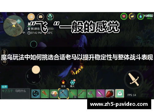 魔鸟玩法中如何挑选合适老马以提升稳定性与整体战斗表现 魔鸟玩法中如何挑选合适老马以提升稳定性与整体战斗表现